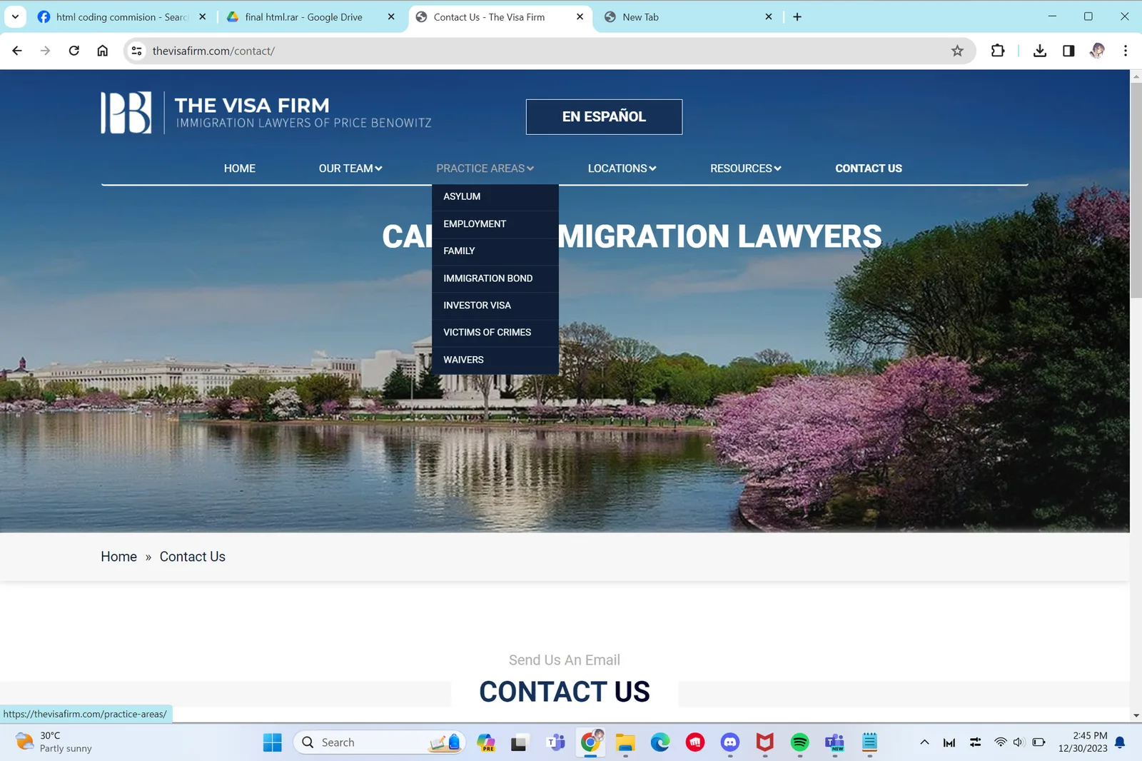 The Visa Firm Website screenshot 1